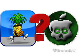 Greenpois0n 4.2.1 ( RC5 ) is