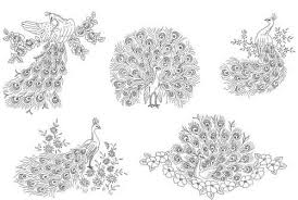 peacock embroidery pattern