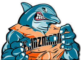 Miami Dolphins News.