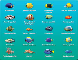 aquarium fish species pictures
