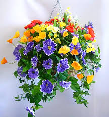 Baskets Of Flowers