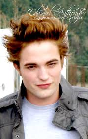 Team Edward