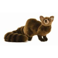 rikki tikki tavi mongoose