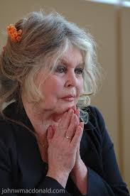 bardot