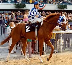 Belmont Stakes.jpg
