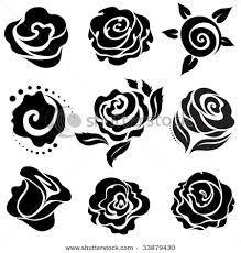 black roses flower