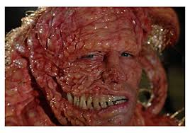 �Slither�