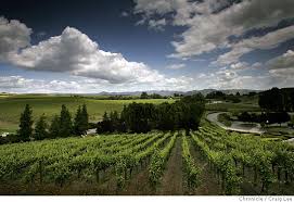 Carneros conundrum / Even after 20 years, Napa-Sonoma region struggles to ...