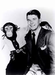 bonzo