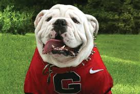 Uga VII was scheduled to make
