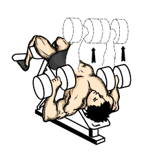 dumbbell press