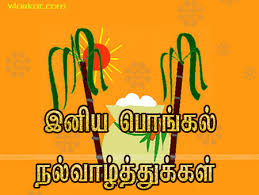 pongal greetings in tamil