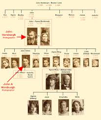 photos family tree