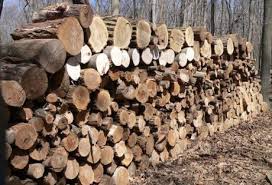 fire wood