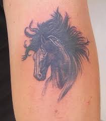 pictures of horse tattoos