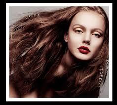 Feather Hair Extensions