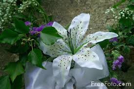 picture wedding flowers