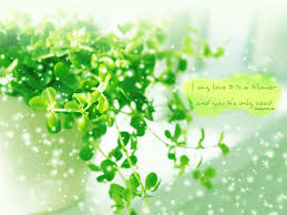 hinh nen cho blog