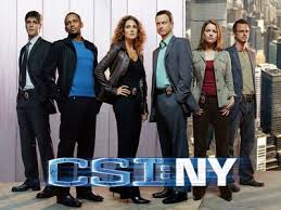 CSI NY