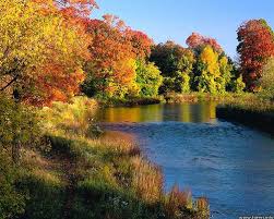 natural wallpaper