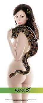 mary louise parker image 5