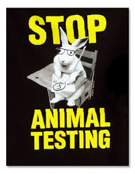 animal testing