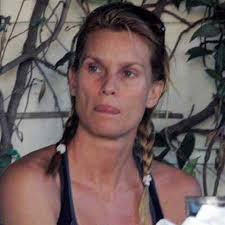 Nicolette Sheridan