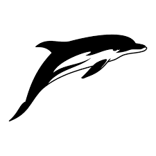 dolphins tattoo designs