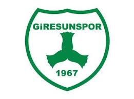 http://t3.gstatic.com/images?q=tbn:FPU_rHPsisHTdM:http://www.diyarbakirspor.org/img/giresunspor_logo.jpg