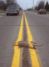 road line