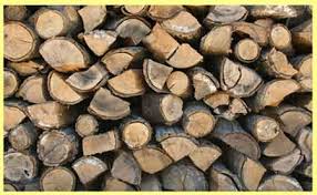 fire wood