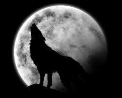 http://t3.gstatic.com/images?q=tbn:FlRvlUAwcexJHM:imagesforum.doctissimo.fr/mesimages/4098671/loup.lune.jpg