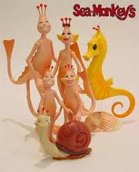 sea monkeys