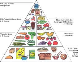 Food Guide Pyramid