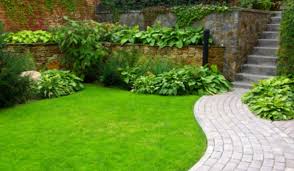 landscape ideas