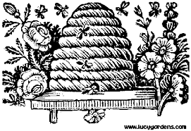 bee hive