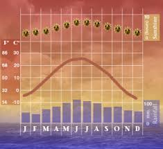 An Indianapolis snow fall is