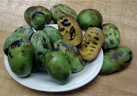 thing I knew about Paw Paw