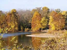 Autumn Scenes Wallpaper from
