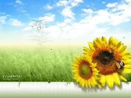backgrounds wallpaper