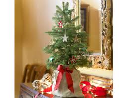 small christmas trees