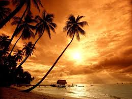 1_11_31_couche_de_soleil_mini.jpg