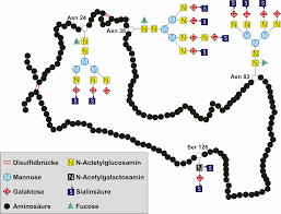File:EPO.png - Wikipedia,
