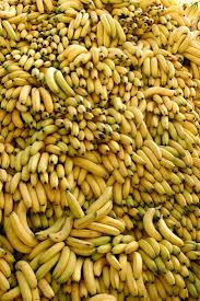 bananas