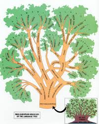 photos family tree