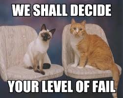 FAIL-Cats-We-shall-decide.jpg