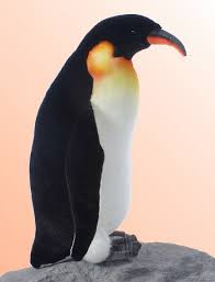 real penguin pictures
