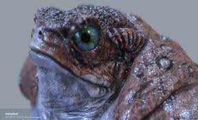 Mudbox image 0