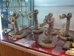 photos rattlesnakes