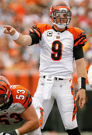 Carson Palmer